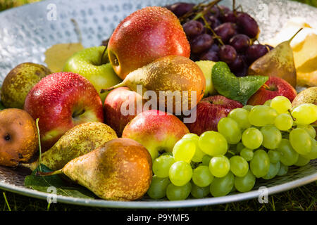 La raccolta della frutta alla fine dell'estate - Mele, pere e uva Foto Stock