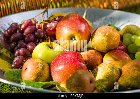 La raccolta della frutta alla fine dell'estate - Mele, pere e uva Foto Stock