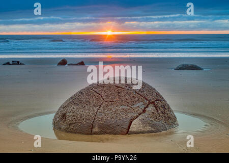 Sunrise a massi Moeraki, concentrarsi sul singolo boulder. Foto Stock