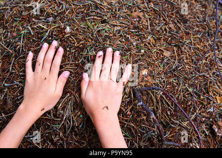 Bambino ragazza le mani su un formicaio Foto Stock