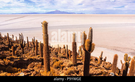 Incahuasi isola in Uyuni saline Foto Stock