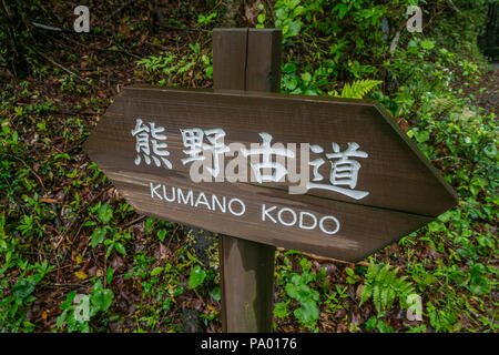 Kumano Kodo percorso del pellegrinaggio attorno al villaggio Takahara. UNESCO - Sito Patrimonio dell'umanità. Nakahechi. Wakayama. Giappone Foto Stock