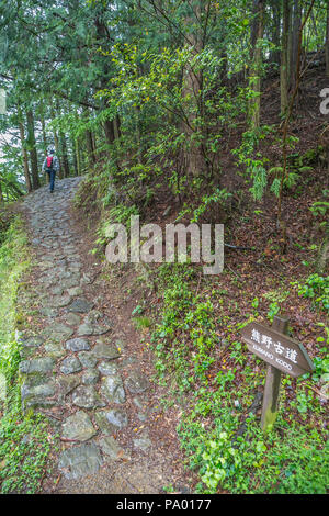 Kumano Kodo percorso del pellegrinaggio attorno al villaggio Takahara. UNESCO - Sito Patrimonio dell'umanità. Nakahechi. Wakayama. Giappone Foto Stock