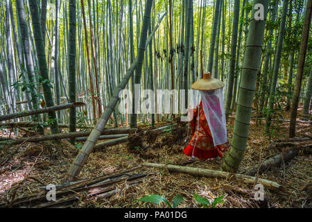 Kumano Kodo percorso del pellegrinaggio. Daimon-zaka slope. Gli alberi di bambù. Wakayama Prefettura. Kii Peninsula. La regione di Kansai. Isola Honshü . L' UNESCO . Giappone Foto Stock