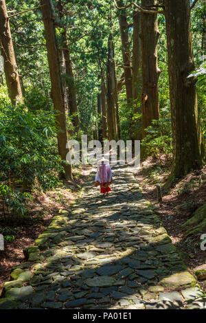 Kumano Kodo percorso del pellegrinaggio. Daimon-zaka slope. Centenario cedro giapponese. Wakayama Prefettura. La regione di Kansai. UNESCO. Giappone Foto Stock