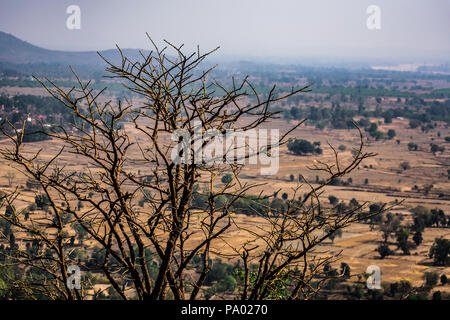 Incredibile vista ravvicinata di albero secco in cima della montagna rocciosa con lo sfondo del paesaggio rurale. Foto Stock