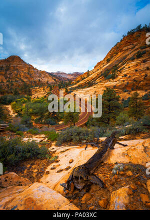 Estate a Zion National Park nello Utah Foto Stock