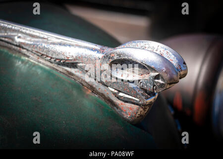 Chrome ornamento del cofano su 1940s Dodge American Classic Car nella forma di una ram Foto Stock