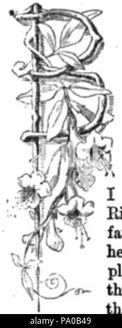 639 Fancy lettera b immagine (1) Foto Stock