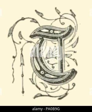 639 Fancy Lettera T immagine Foto Stock