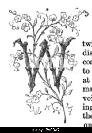 639 Fancy lettera W immagine Foto Stock