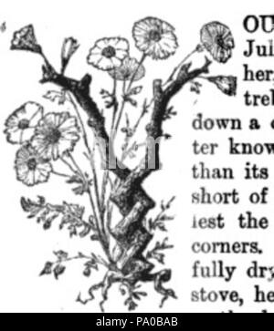 639 Fancy lettera Y Immagine Foto Stock