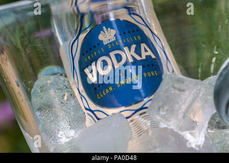 La vodka bottiglia su ghiaccio in cristallo e bibite in tarda estate il sole sul fresco giardino floreale terrazza tabella Foto Stock