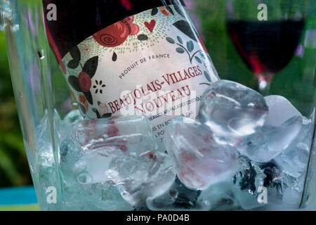 Beaujolais-Villages Nouveau vino rosso francese giovane posto in frigo di vino ghiacciato per bere tradizionalmente leggermente fresco giardino estivo all'aperto situazione Foto Stock