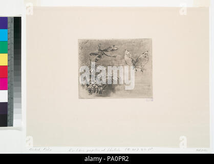 631 Ex-libris - Papillon et libellule (NYPL b12390848-1101511) Foto Stock