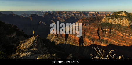 In Arizona, Stati Uniti d'America. Il 25 giugno, 2018. Sunrise circa il Bright Angel punto lungo il Grand Canyon North Rim, Arizona, lunedì 25 giugno 2018. Credito: L.E. Baskow/ZUMA filo/Alamy Live News Foto Stock