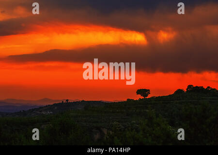 Taiyuan, Taiyuan, Cina. Il 20 luglio, 2018. Taiyuan, CINA-Scenario di Gengyang giardino ecologico di Taiyuan, Cina del nord della provincia di Shanxi. Credito: SIPA Asia/ZUMA filo/Alamy Live News Foto Stock