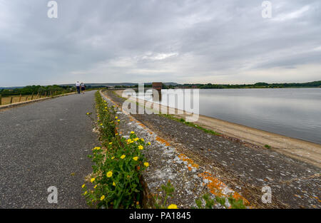 Arlington East Sussex Regno Unito 20 luglio - un giorno nuvoloso al serbatoio di Arlington vicino a Eastbourne in East Sussex dove i livelli di acqua rimangono abbastanza buona nonostante condizioni di siccità in tutta la Gran Bretagna . Il Sud Est del serbatoio di acqua è un ben noto spot di bellezza popolare con gli escursionisti e gli amanti del birdwatching Credito: Simon Dack/Alamy Live News Foto Stock