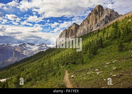 Green Meadow drammatico cielo nuvole orizzonte Montagne Rocciose paesaggio Wapta Highline Escursionismo Burgess Shale Yoho National Park British Columbia Canada Foto Stock