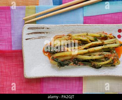 Cibo coreano giovani kimchi di rafano Foto Stock