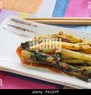 Cibo coreano giovani kimchi di rafano Foto Stock