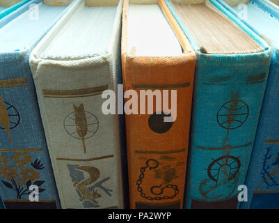 I libri disposti in una fila, macro indoor shot Foto Stock