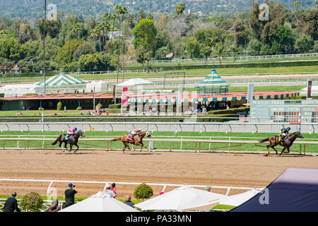 Los Angeles, APR 8: le corse di cavalli in Santa Anita Park il Apr 8, 2018 a Los Angeles in California Foto Stock