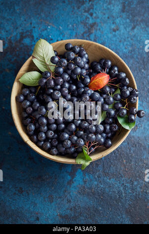 Ciotola con appena raccolto homegrown bacche di Aronia. Aronia, comunemente noto come chokeberry, con foglie Foto Stock