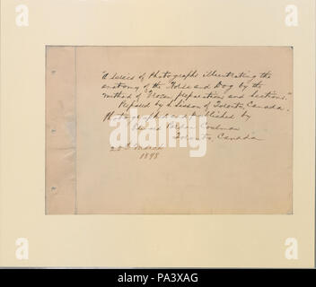 88 una serie di fotografie che illustrano la anatomia del cavallo e cane mediante il metodo di preparazioni congelate e sezioni preparate da S Sisson di Toronto (HS85-10-9846-1) originale Foto Stock