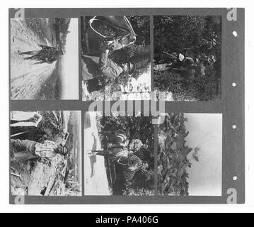 274 canadese guerra ufficiale fotografie (BL l.r.233.b.57.v3 f008r) originale Foto Stock