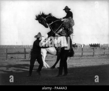 253 strappi bronco. Cheyenne Frontier Days cph.3b03106 Foto Stock