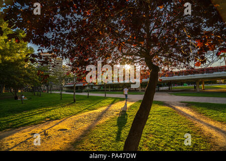 La gente a piedi in una calda serata primaverile durante il tramonto nel Parco Turia. Valencia. Foto Stock