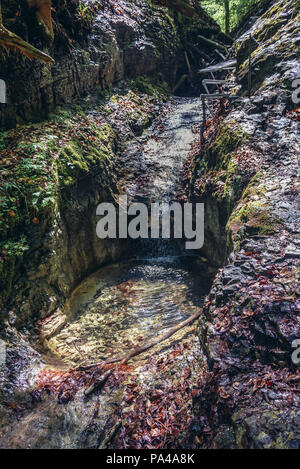 Sucha Bela canyon in Paradiso Slovacco National Park, parte nord della slovacca Monti Metalliferi in Slovacchia Foto Stock