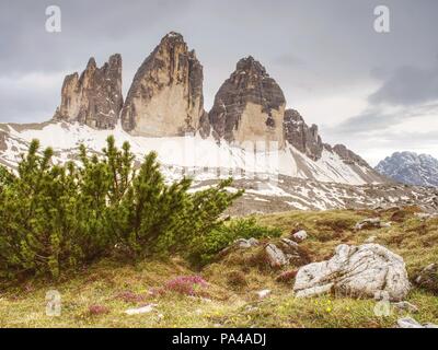 Molla Evenning panorama da popolare percorso. Picchi aguzzi Tre Cime di Lavaredo (Drei Zinnen ), Sextener Dolomiten montagne, Italien Alpi Foto Stock