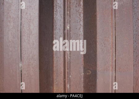 Chicago's Montrose Avenue cane spiaggia su una divertente giornata d'estate. Foto Stock