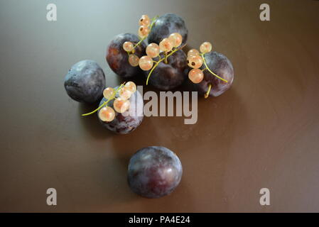 Prugne fresche strappate e mazzi di ribes bianco su sfondo marrone opaco. Foto Stock