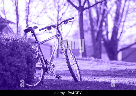 Uno ultra violet bicicletta nel parco su una luminosa estate primavera all'aperto, concetto di gioia di vita, hipster lifestyle Foto Stock