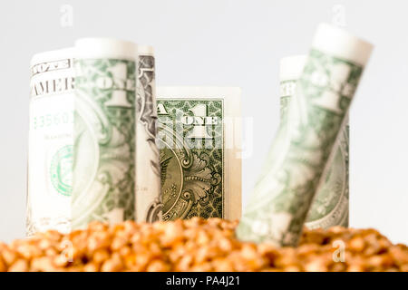 Banconote per un dollaro statunitense spuntavano in un mucchio di grano, un close-up delle attività agricole e delle finanze Foto Stock