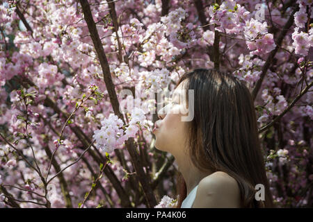 Ritratto di bella dolce ragazza asiatica divertendosi e posa con cespugli di fiori di ciliegio fiore come sfondo. Foto Stock