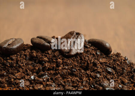 Appena macinato di caffè Arabica e fagioli Foto Stock