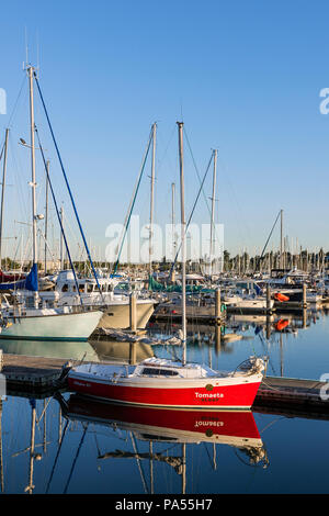 Barche nel porto di Squalicum, Bellingham, nello Stato di Washington, USA. Foto Stock