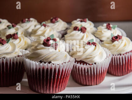 Velluto rosso Cupakes con fiori di rosa sul display Foto Stock