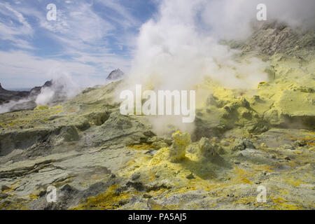 Isola Bianca vulcano attivo, Nuova Zelanda Foto Stock