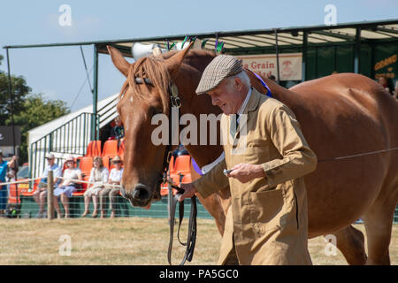 Tendring Essex REGNO UNITO - 14 Luglio 2018: l'uomo che esibisce Shire cavallo a spettacolo agricolo Foto Stock