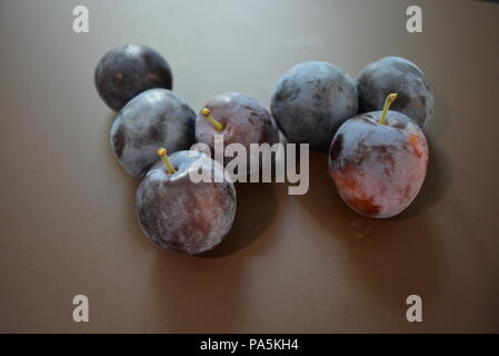 Prugne strappate fresche su sfondo marrone opaco. Foto Stock