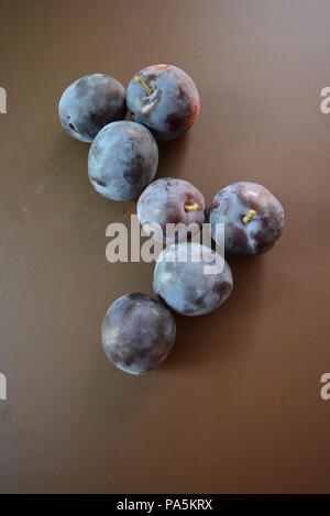 Prugne strappate fresche su sfondo marrone opaco. Foto Stock