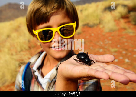 Ragazzo detiene un coleottero nero nella mano, Namib Desert beetle (Onymacris unguicularis), Namib Rand Riserva Naturale Foto Stock