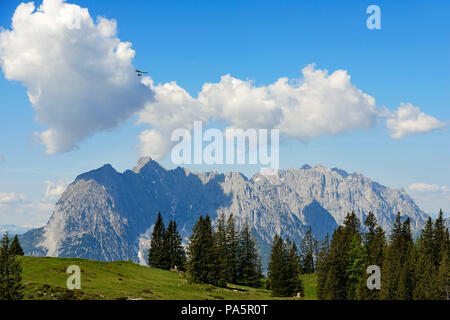 Deltaplani oltre l'Eggenalm con vista del Wilder Kaiser (Tirolo, Austria), Reit im Winkl, Baviera, Germania Foto Stock