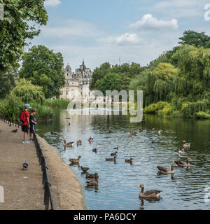 Oche presso il St James Park con la sfilata delle Guardie a Cavallo dietro a Londra, Inghilterra. Foto Stock