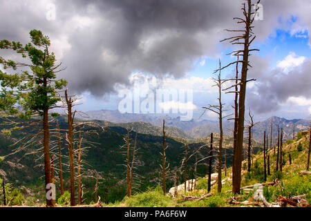 Vista della Arizona da Mt Lemmon sentiero Foto Stock